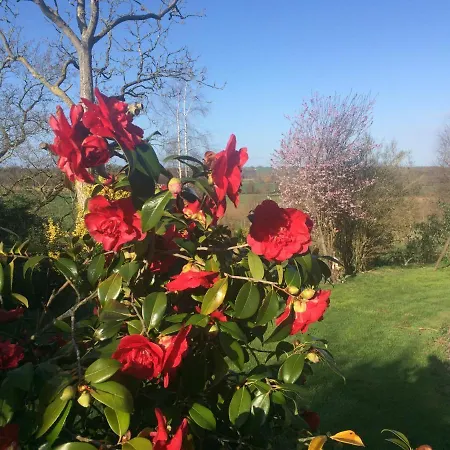 L'angeviniere, Des Anges Proche Mont-saint-michel 3*