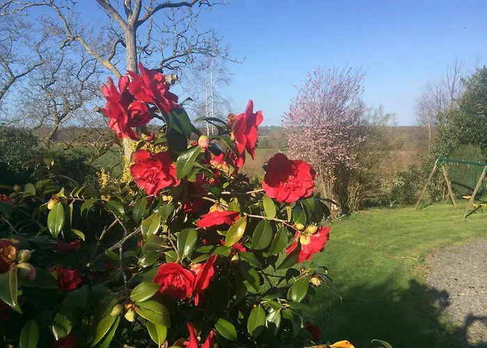 L'angeviniere, Des Anges Proche Mont-saint-michel 3*