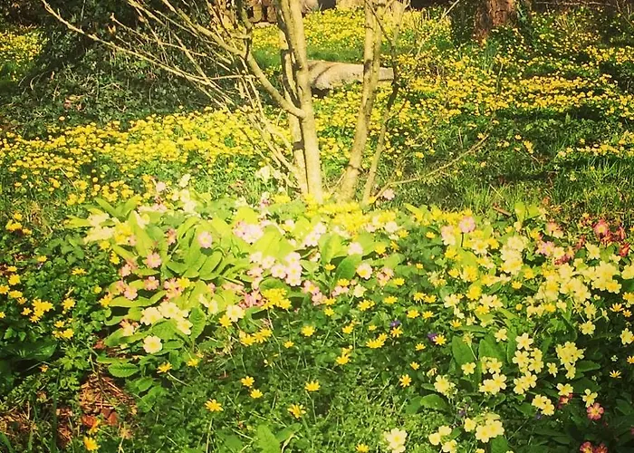 Bed & Breakfast L'angeviniere, Des Anges Proche Mont-saint-michel